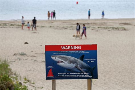 Cape’s first shark alert of the season for Chatham